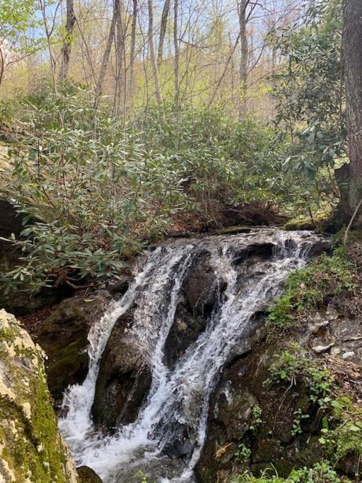 Blue Ridge Parkway Panoramic Paradise-60 Mile View Fancy Gap Extérieur photo