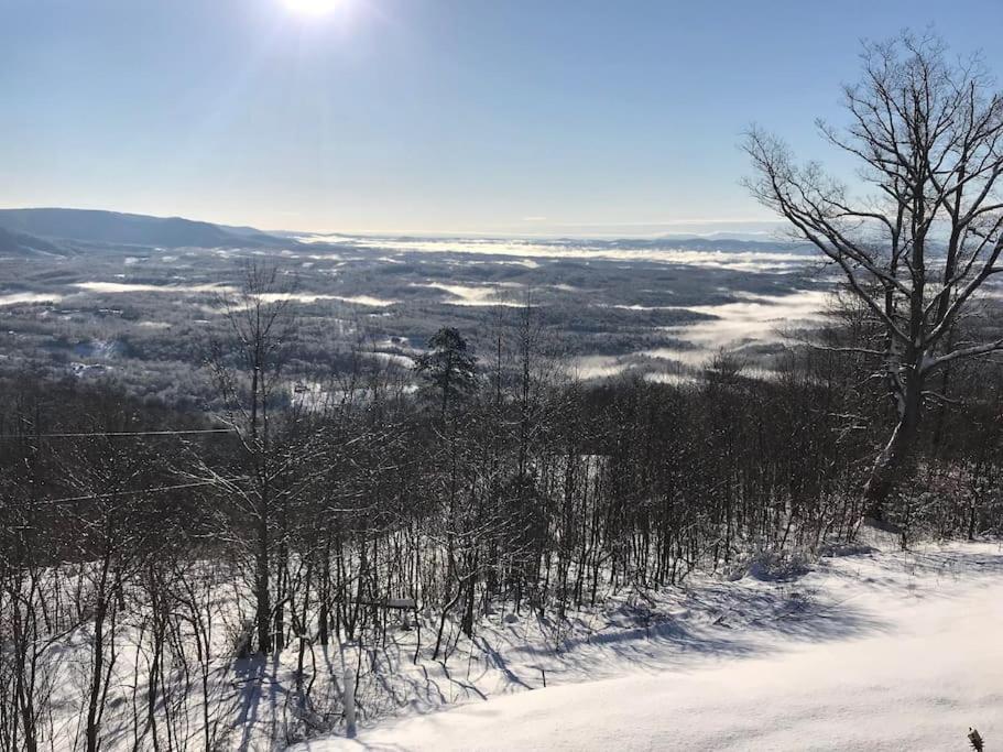 Blue Ridge Parkway Panoramic Paradise-60 Mile View Fancy Gap Extérieur photo